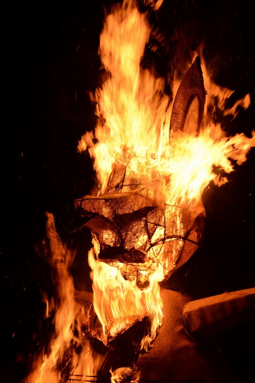 ../Images/Konijnverbranding 2015 187.jpg
